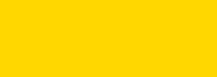 Gold Web Design Package